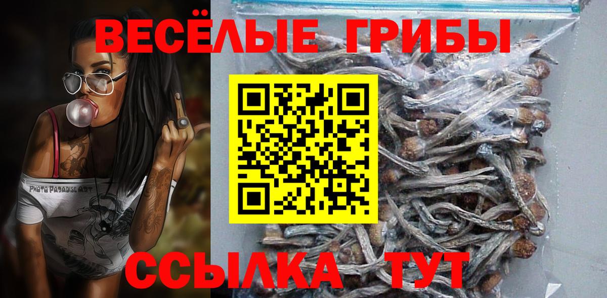 Псилоцибиновые грибы Cubensis Магадан